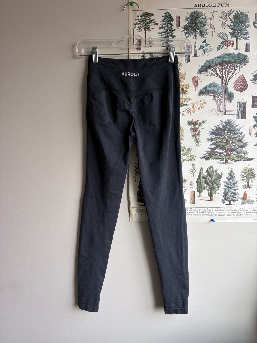 Aurora seamless scrunch legging 7/8 navy small EUC